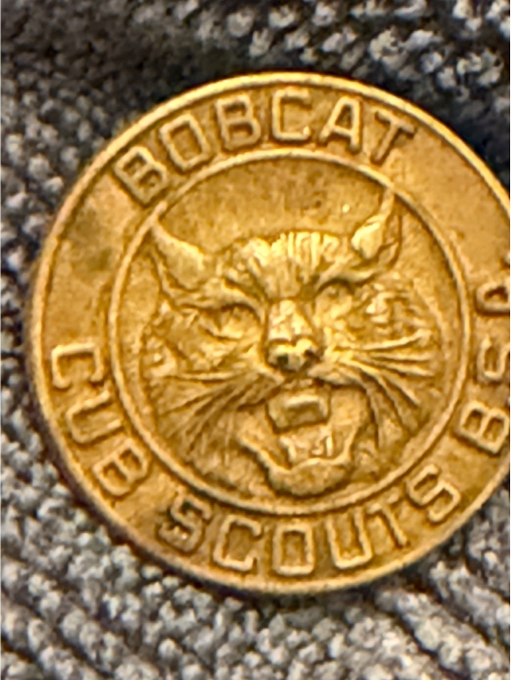 Vintage Bobcat Cub Scouts BSA Brass Pin Badge